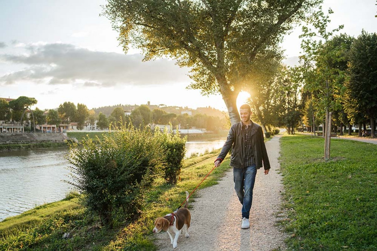 Man with prediabetes walking his dog